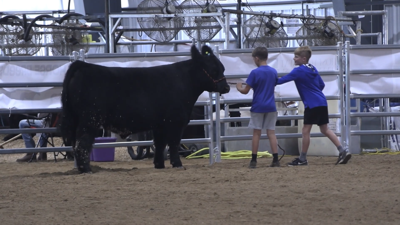 2026 Mercer County Fair kicks off