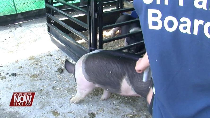 Putnam County Fair prepares for a big week of competition