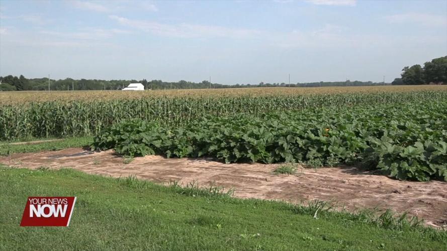Area farmers battle unpredictable summer weather
