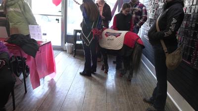 Chocolate Walk boosts business in Wapakoneta