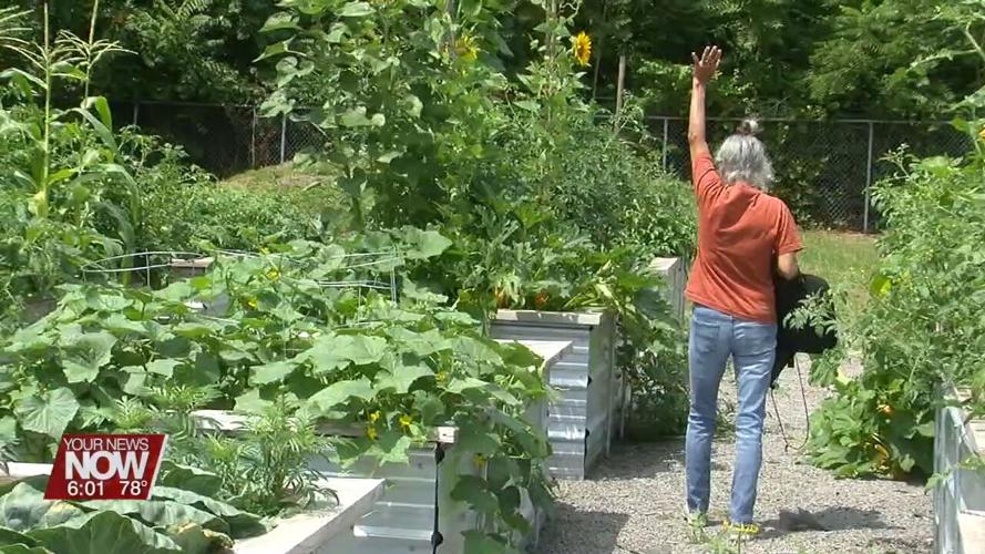 Block party brings people together at South Jackson St. Community Garden