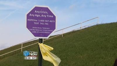 Suicide prevention signs placed around Allen County