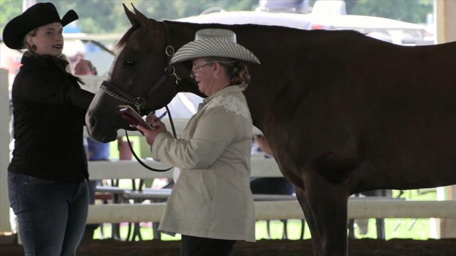 4-H Spotlight: Showmanship demonstrates bond between horse and competitor