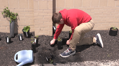 Growing STEM: South students helping biodiversity with plant life