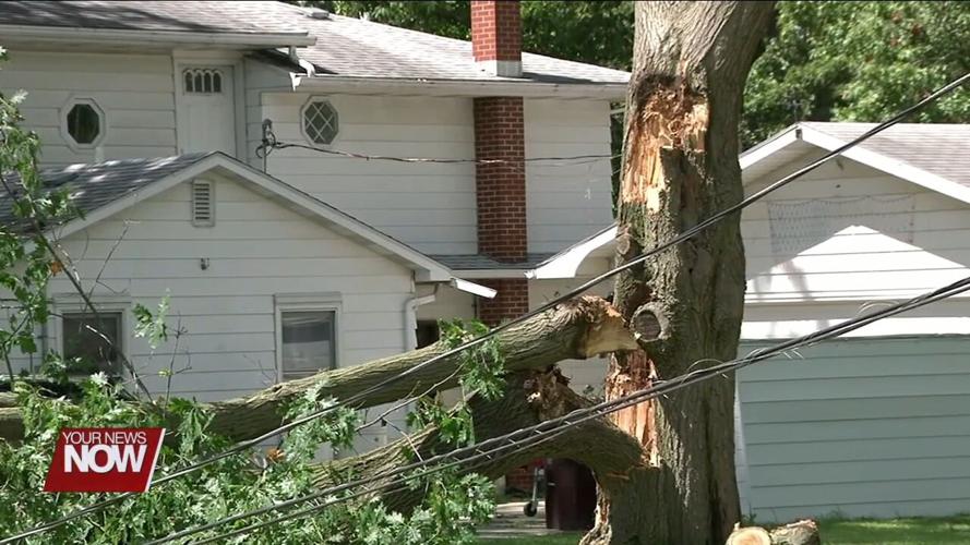 Portion of fallen tree causes power outage in Lima after knocking down
