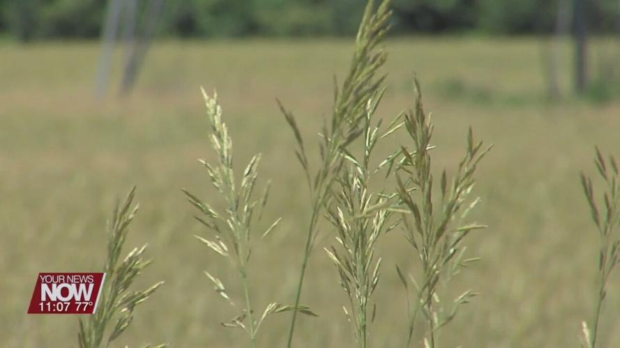 Some concerns of drought in our area this summer