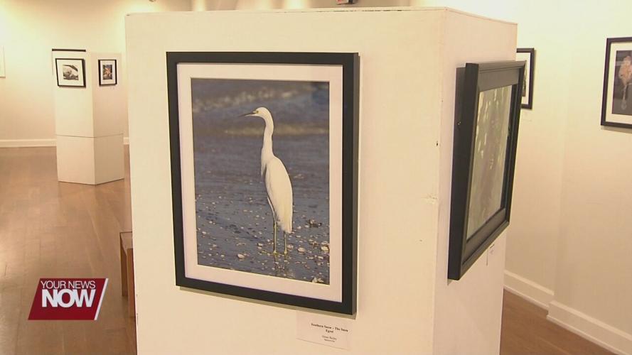 Area amateur photographers getting their work displayed at ArtSpace Lima
