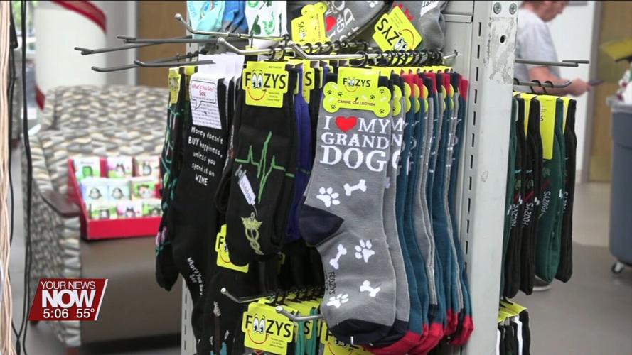 Lima Memorial Auxiliary kicks off their "Books are Fun" book fair