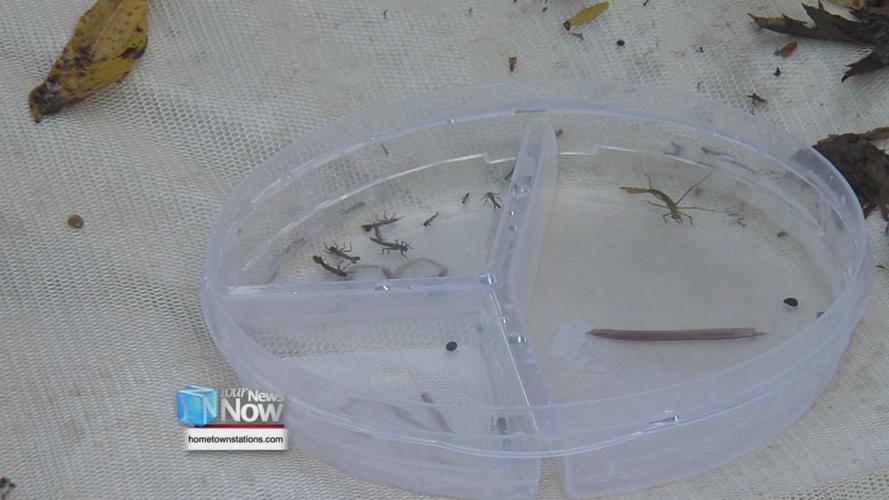 Elida High School students spend time in the river