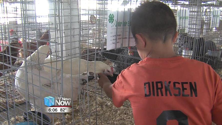 Participants get ready for the Junior Fair Poultry Showmanship and Breeding Show 1.jpg