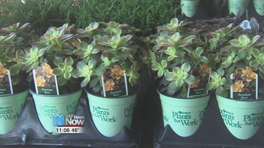 LuLu's Diner turns 10 years old and wants to show their customers appreciation