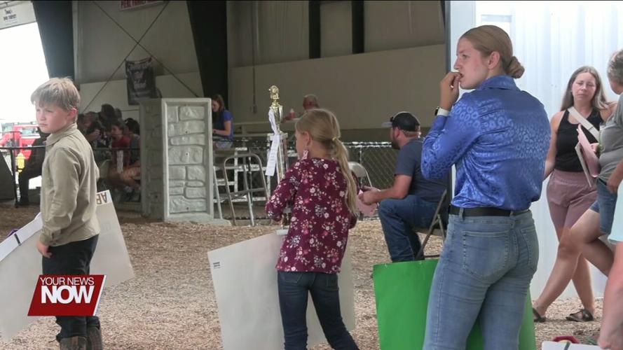 Auglaize County Fair's Jr. Fair Livestock Auction pays kids for their successful projects