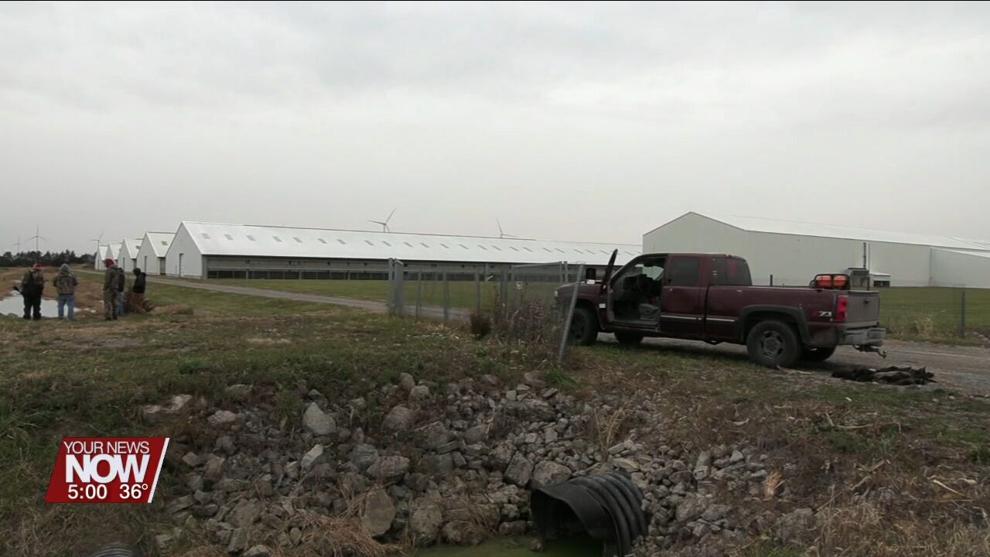 Vandals release thousands of mink from farm in Van Wert County News