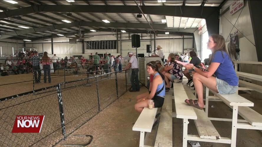 Auglaize County Fair's Jr. Fair Livestock Auction pays kids for their successful projects
