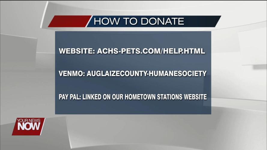 Auglaize County Humane Society asking the public for help to save their shelter and animals