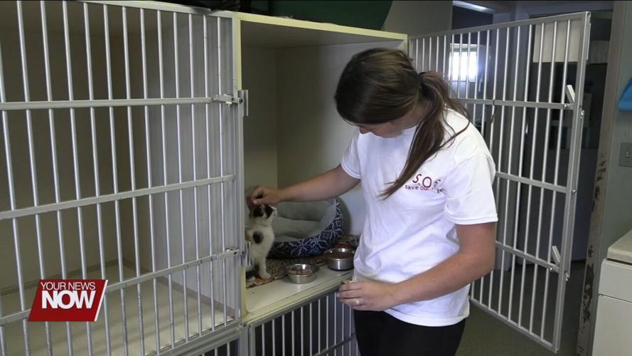 Auglaize County Humane Society asking the public for help to save their shelter and animals