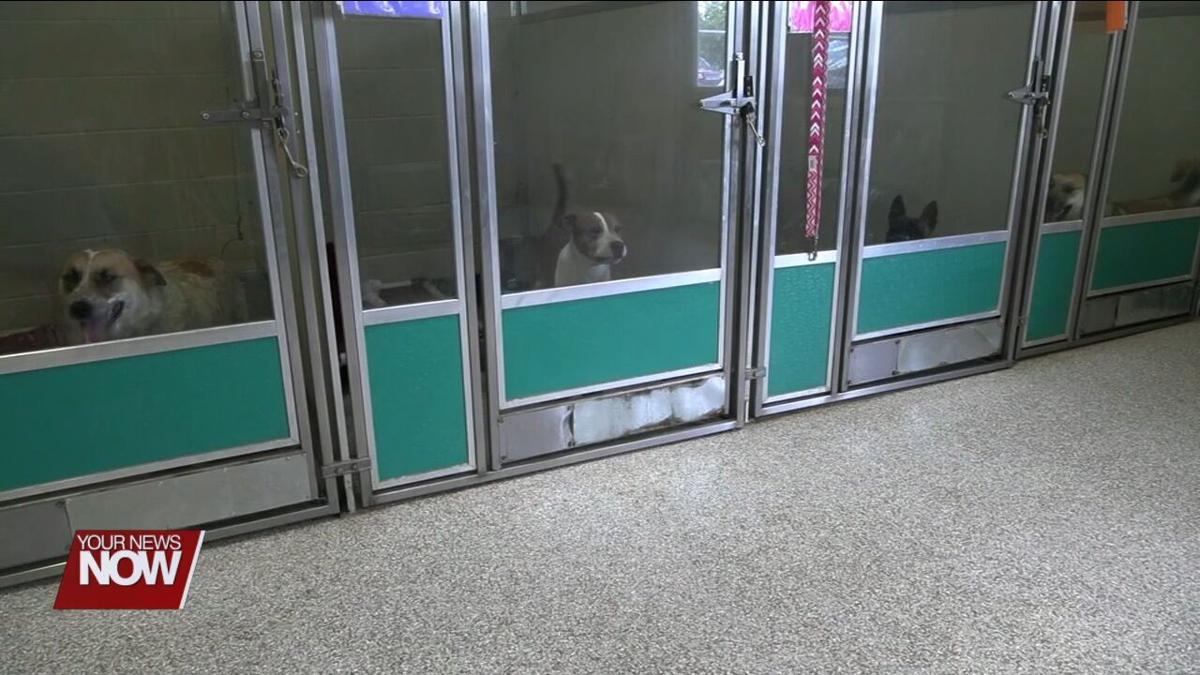 Auglaize County Humane Society asking the public for help to save their