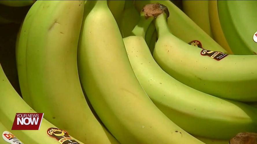 Keeping your fruits and veggies fresh