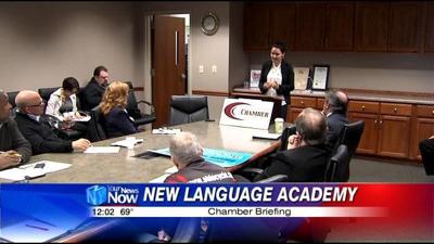 New Language Academy