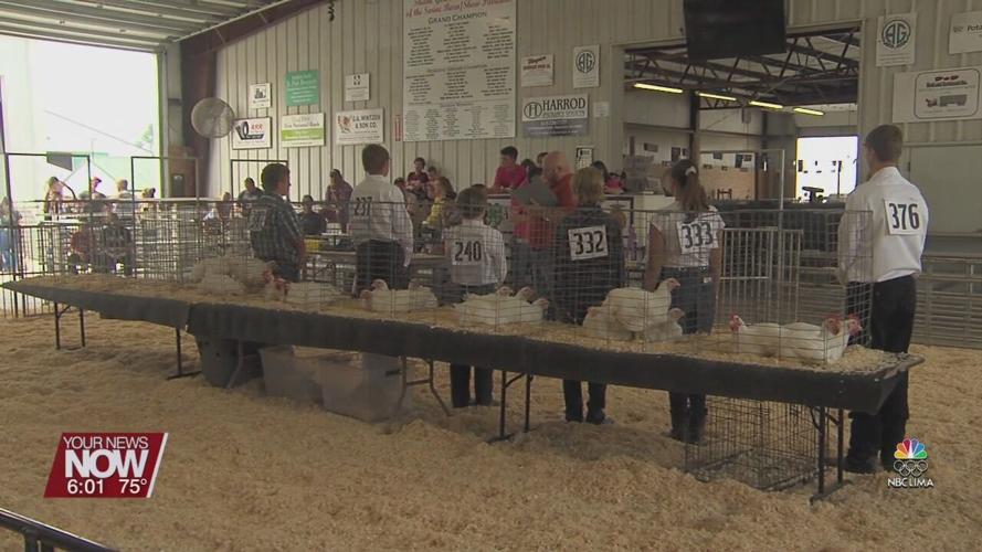 Fair week starts in Auglaize County