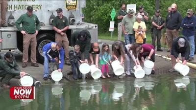 Ohio Division of Wildlife stocks saugeye in Grand Lake St. Marys