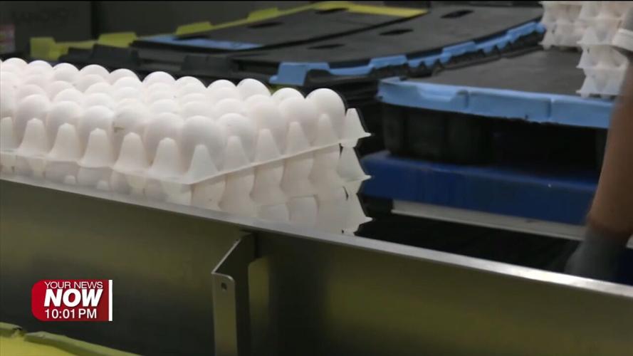 U.S. Agriculture Secretary visits Western Ohio Poultry Producers impacted by Avian Flu