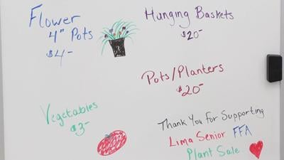 Lima Senior Agriculture students grow funds through annual plant sale