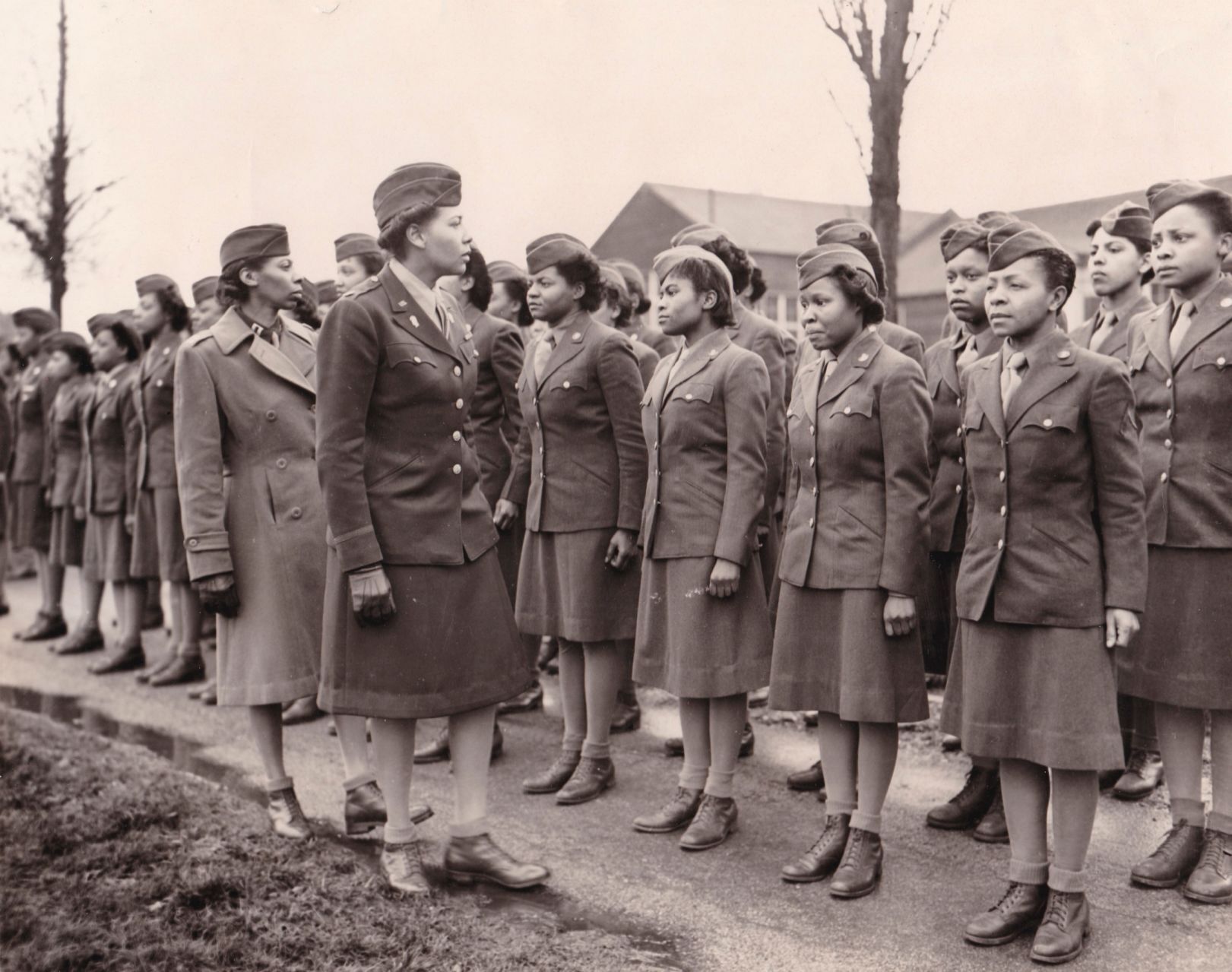Black female veterans hope to get congressional honor - Vimarsana News