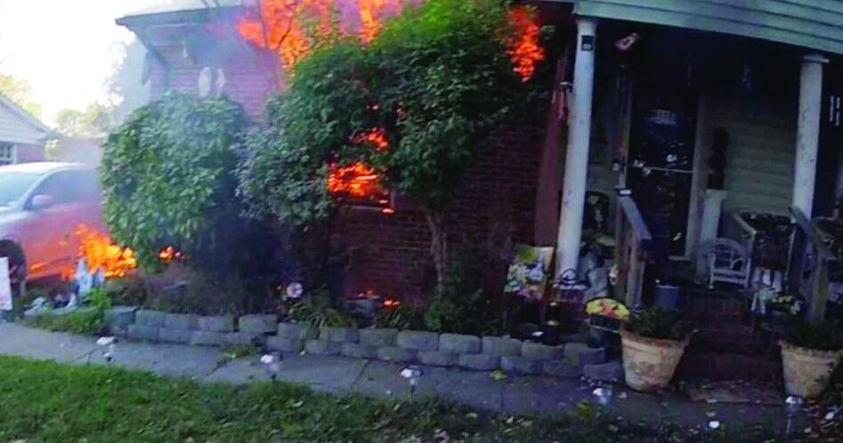 3 dogs die in house fire | News | hpenews.com