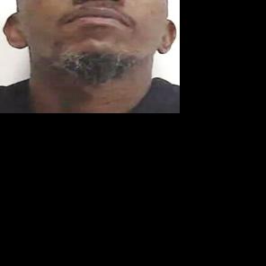 Lexington man charged with animal cruelty after 3 dogs die from ...
