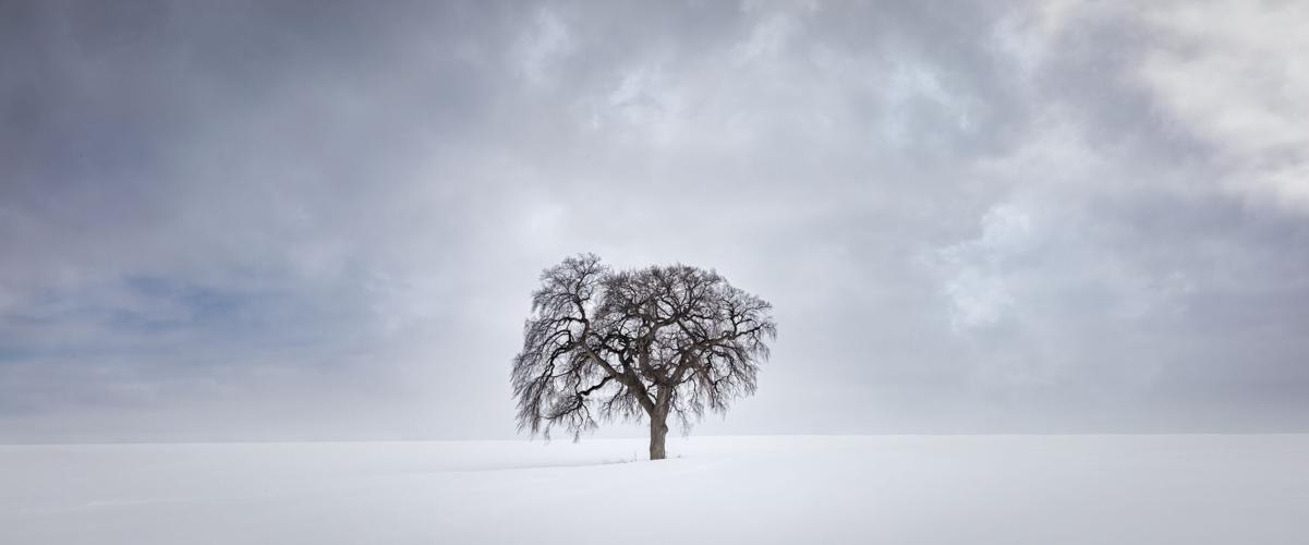 Photo exhibit captures the charm of all 50 states Life
