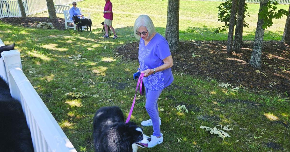 Expanded 'Wiggley Field Bark Park' brings bigger space, stronger community to Piedmont Crossing