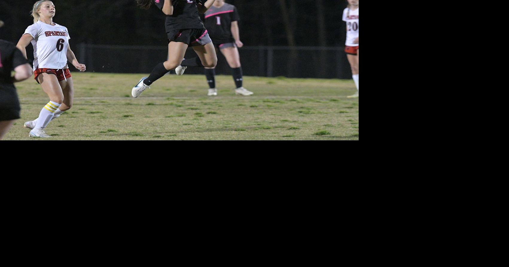Local roundup: Ledford soccer defeats Central Davidson | Sports ...