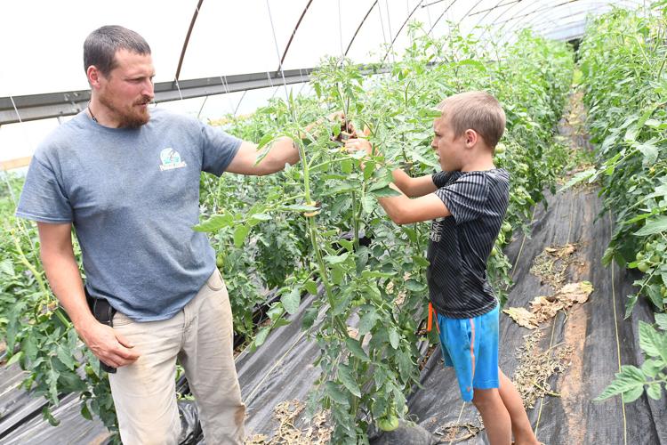 Eight years in, family farm still growing Archives