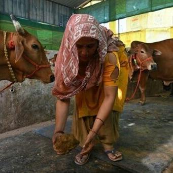 Biogas: everything we know so far
