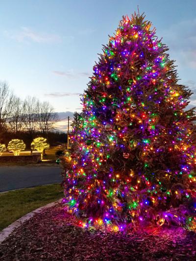 Creekside Park's Christmas tree will shine brightly this holiday