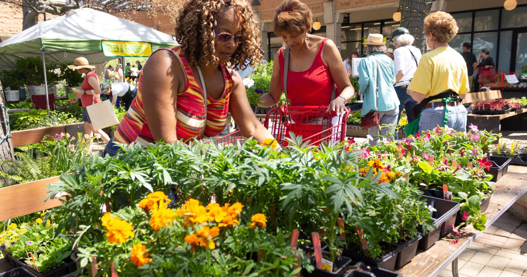 Hyde Park Garden Fair returns Friday and Saturday - Vimarsana News