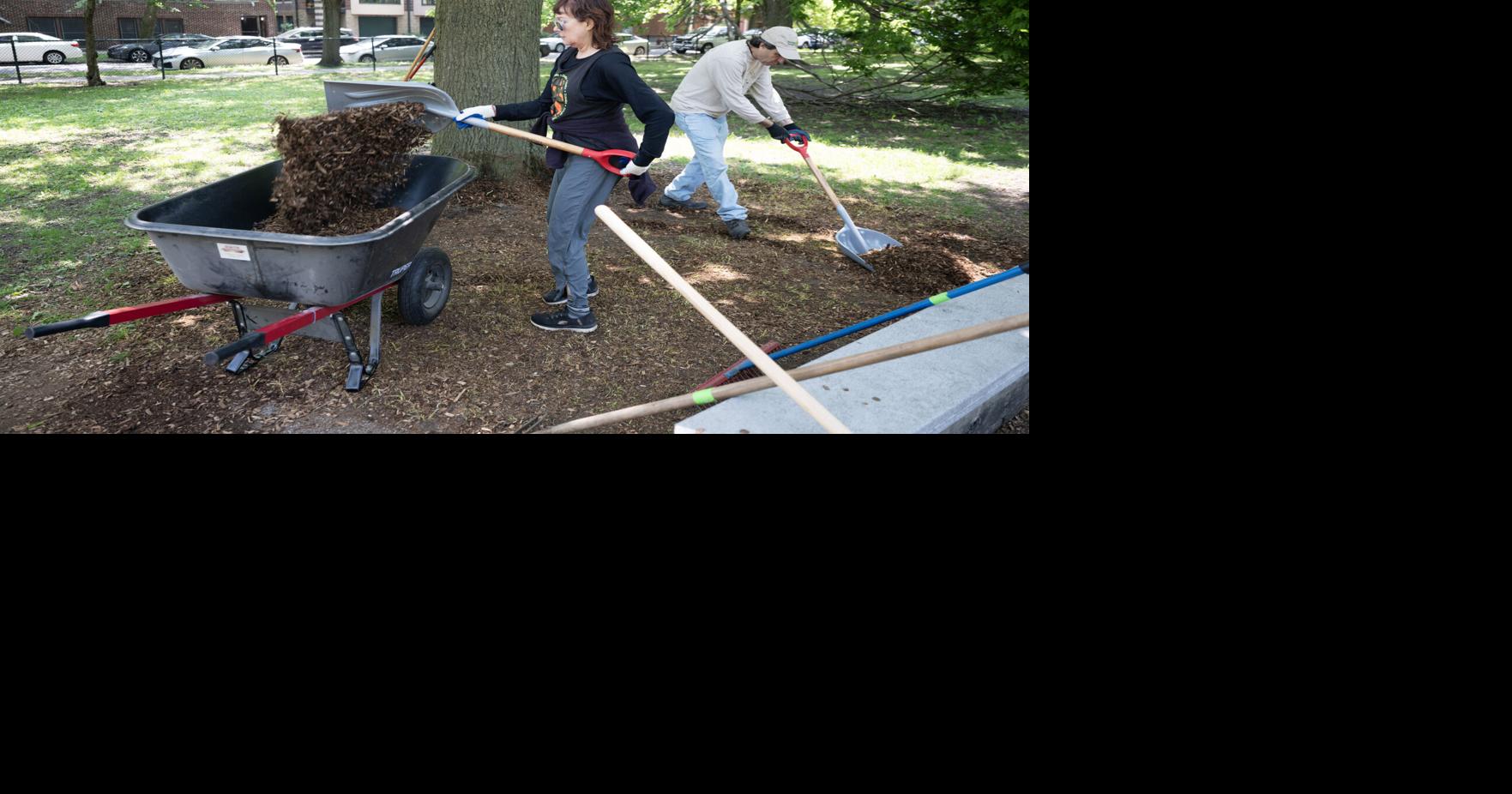 Yarn Store Day, cleanups and concerts: This week's Hyde Park Happenings