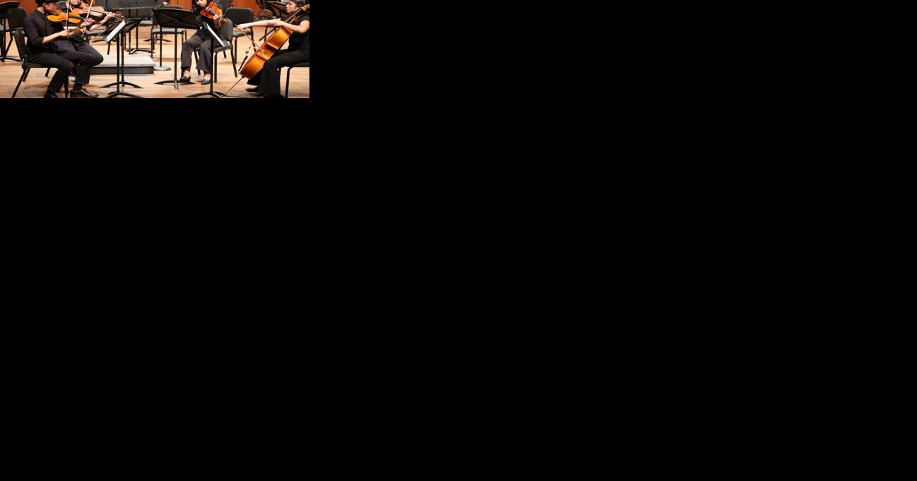 Hyde Park Youth Symphony awarded $10K CityArts grant - Vimarsana News