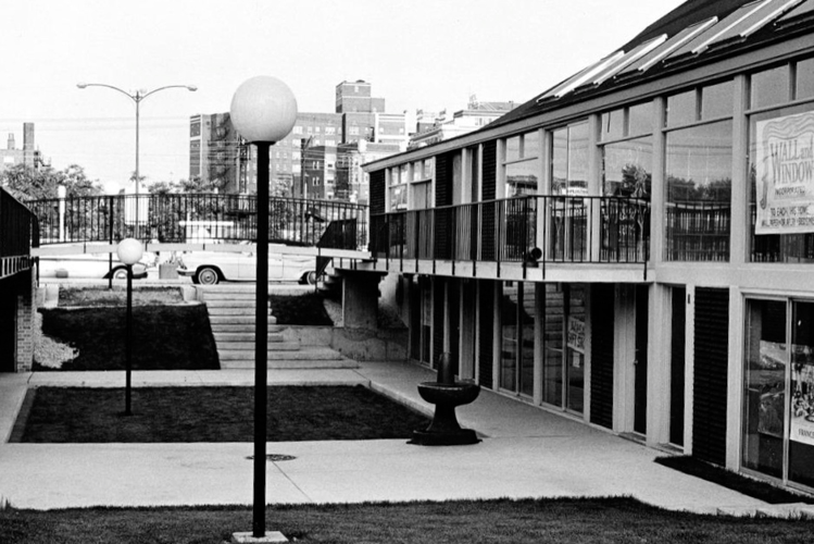 Lost Hyde Park: Genuinely Civilized Oddballs Local News hpherald com