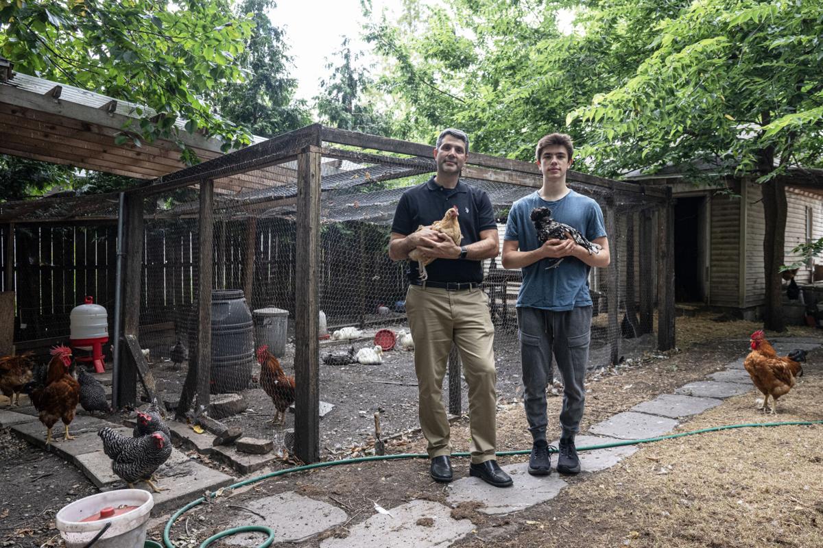 Keeping Backyard Chickens the EASY Way - Reformed Acres, image size:1200x800