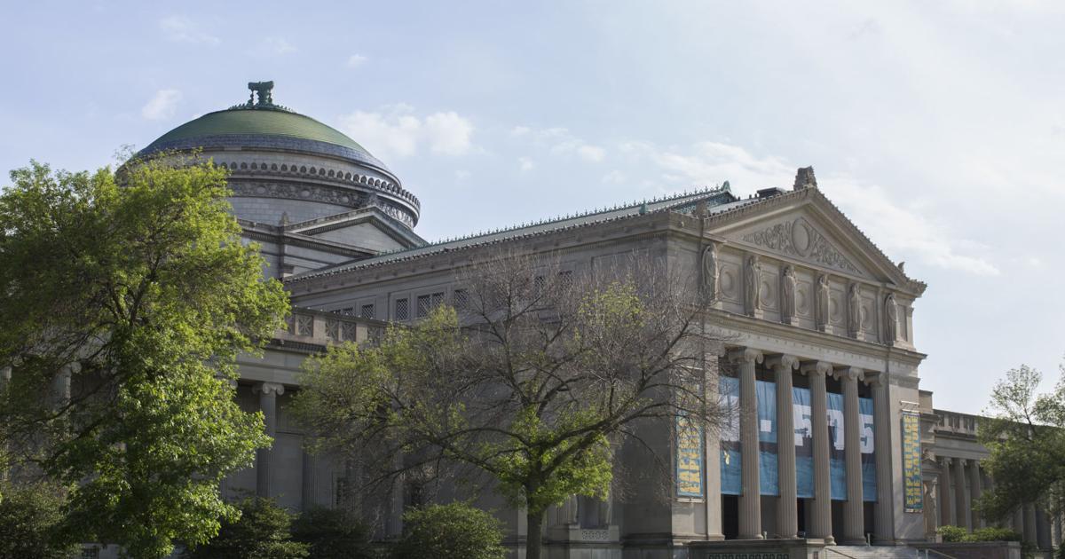 Minor assaulted Thursday at the Museum of Science and Industry