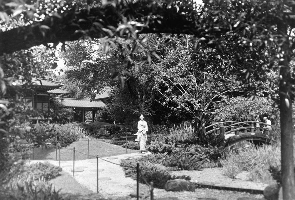 Hyde Park Stories: The Japanese Garden (part I) | Evening Digest