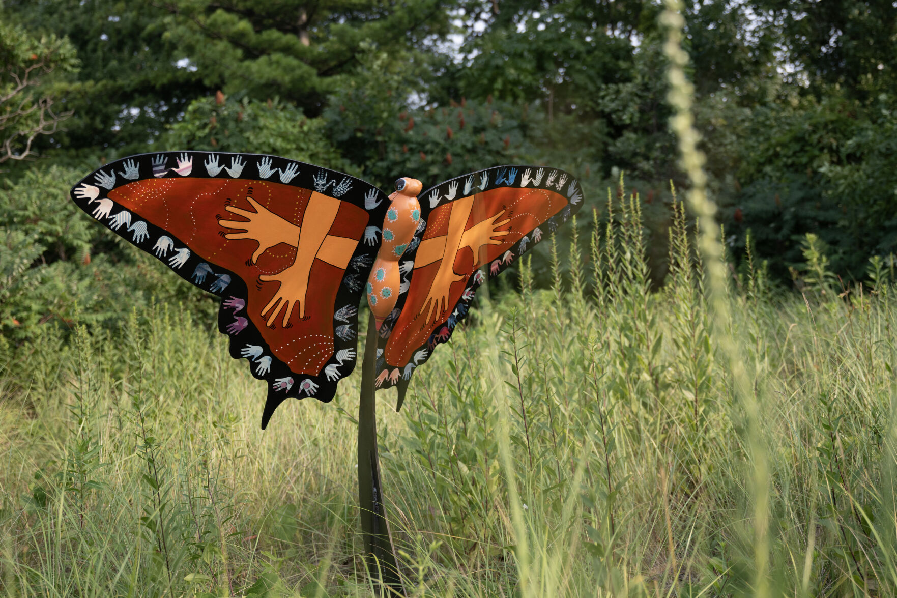 Butterfly Life USA 蝶々　キャンバスF4号 Butterfly Life USA 蝶々 キャンバスF4号 Butterfly Life USA 蝶々