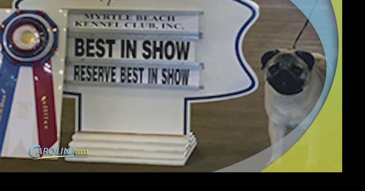 Myrtle Beach Kennel Club Returns with First Show Carolina Am hub
