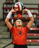 VOLLEYBALL | Player of the Week & Honor Roll