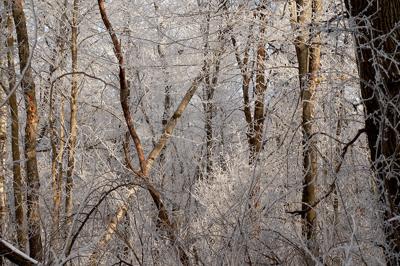 Recent hoar frost in Star Prairie