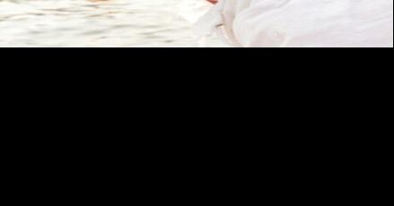 India F. Linehan - Vimarsana News