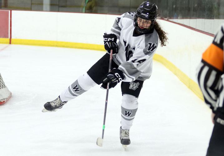 Girls Hockey: Stars knock off defending state champs while Fusion roll ...