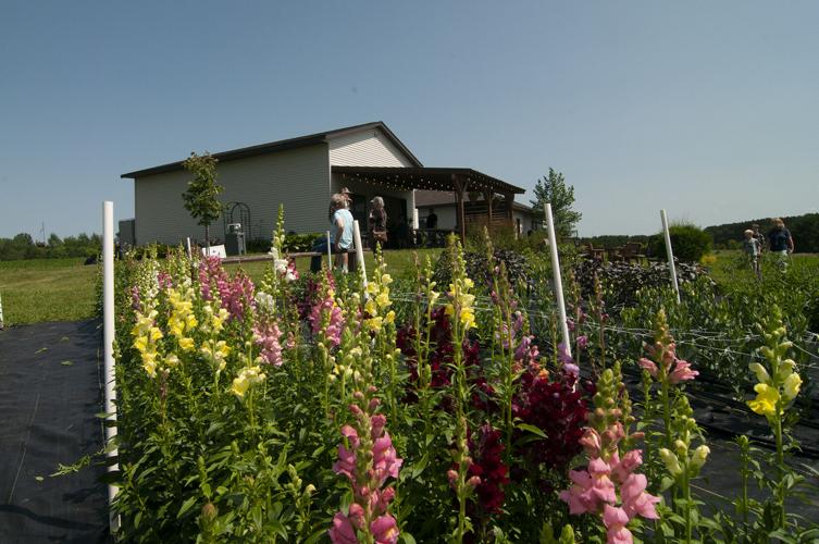 Blooms & Berries Farm Tour offers scenic sights, tasty food | Local ...